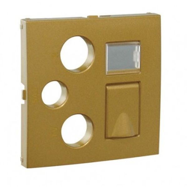 COV F/R-TV-SAT-RJ45/R-TV-SAT-RJ45-FO MULT SOC image 1