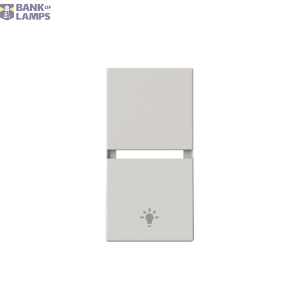 N2109.11 DN - Cover. Symb. LUCE image 1