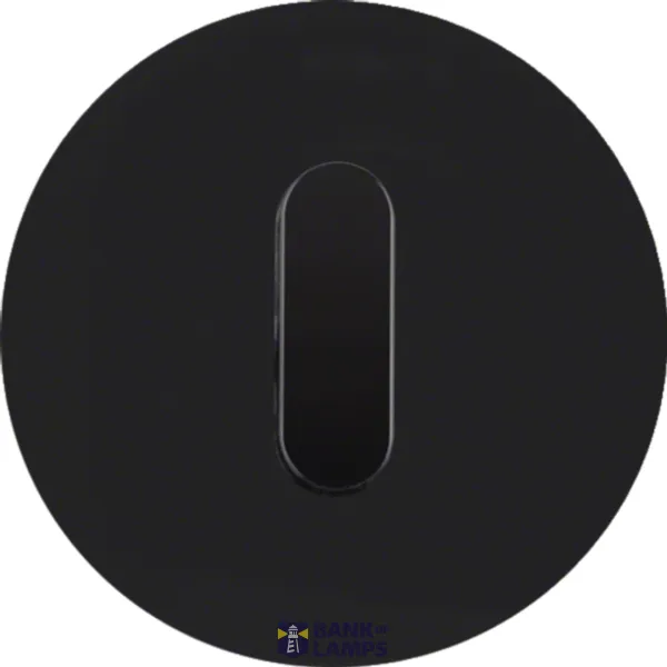Cover plate with knob, R.Classic series, glass, black image 1