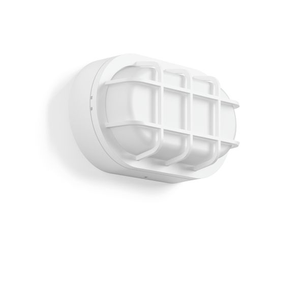 Alu-Lux oval, 12 W, 730 lm, 840, white, on/off Ceiling and wall lumina image 2