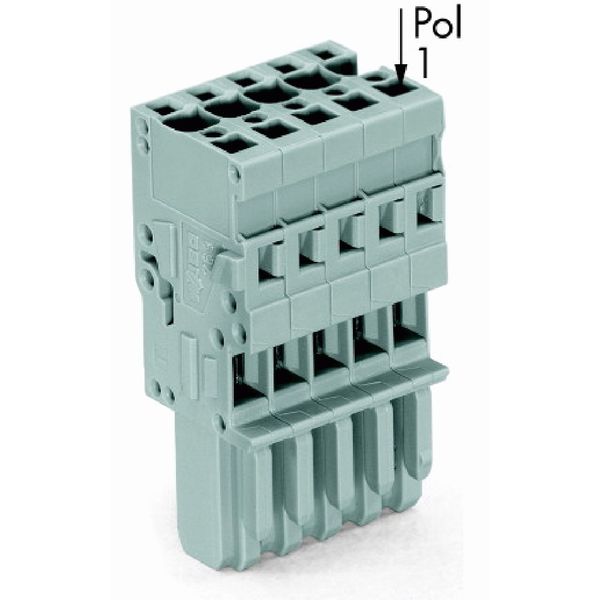 1-conductor female connector CAGE CLAMP® 4 mm² gray image 2