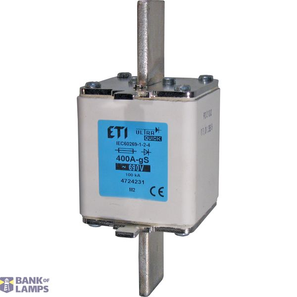 M1 gS 250A/690V image 2