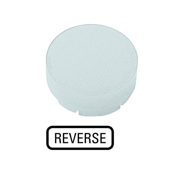 M22-XDLH-W-GB16 Button lens, raised white, REVERSE image 4