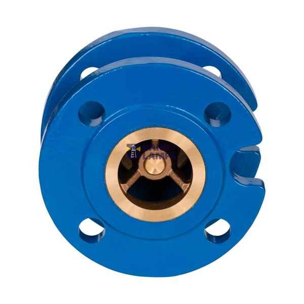 Check Valve, NVD 402, Flange image 1
