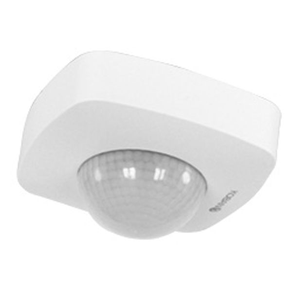 Fichero: KDP4-GS20-op1.jpg image 1