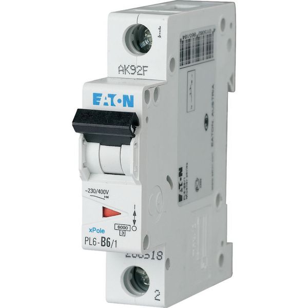 PL6-D6/1 Miniature circuit breaker (MCB), 6 A, 1p, characteristic: D image 1