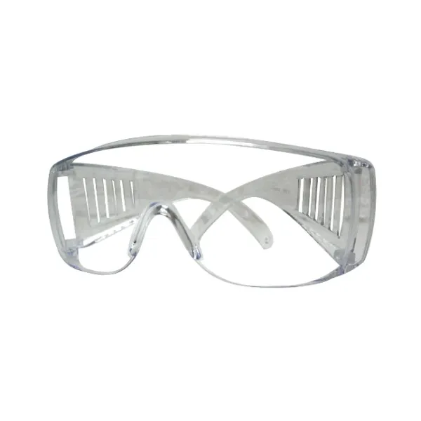 Skandia safety goggles transparent image 1
