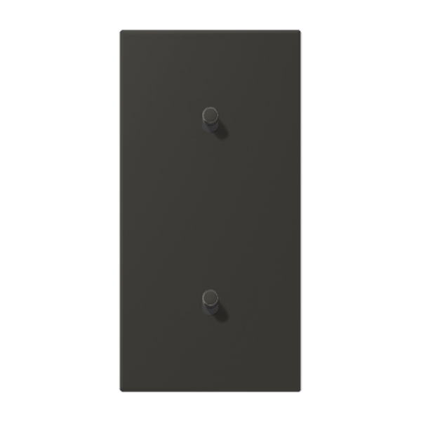 Centre plate with toggle lever "cylinder LC12-20R0259 image 1
