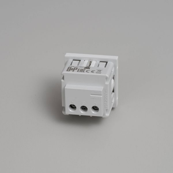 SCHUKO SOCKET MODULE / TYPE F / 45 MM / WHITE image 2