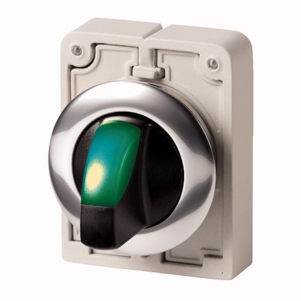 M30C-FWLK3-G Illuminated selector switch actuator, RMQ-Titan, With thumb-grip, momentary, 3 positions, green, Metal bezel image 1