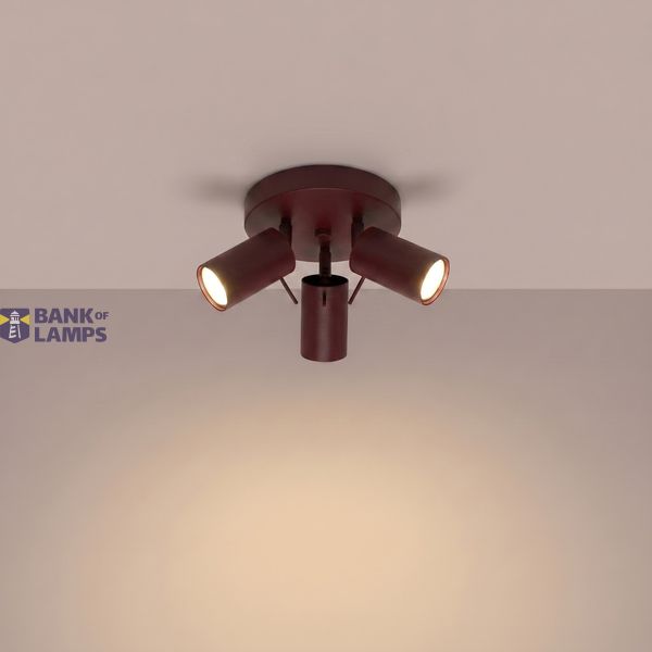Ceiling lamp RING 3P burgundy image 7