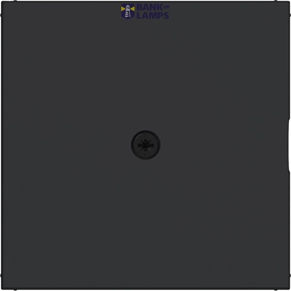 Central plate for cable entry piece, A.x/C.x, night black matte image 1