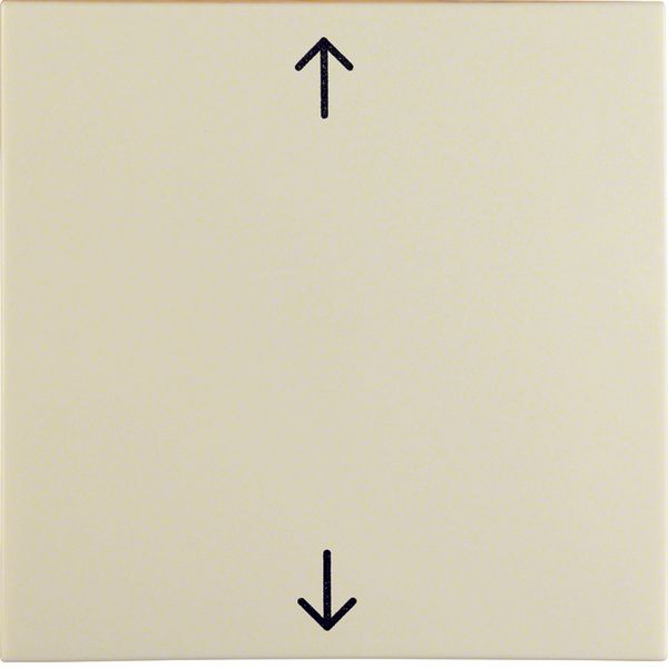 Rocker imprinted arrows symbol, S.1, white glossy image 1