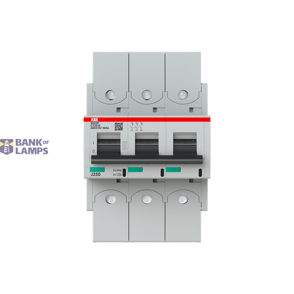 S803P-C125-R circuit breaker image 1