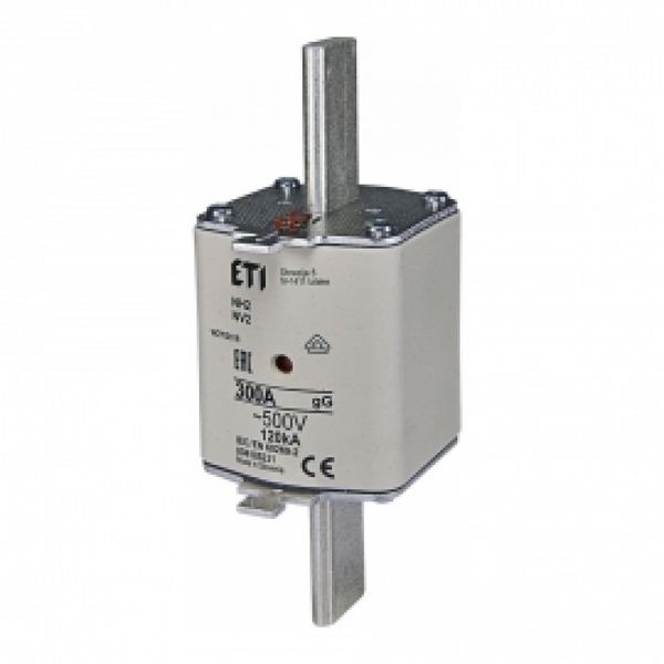 Fuse NH2 300A image 1