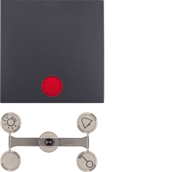 Rocker with fixing element IP44 S.1 with lens anthracite matt image 1