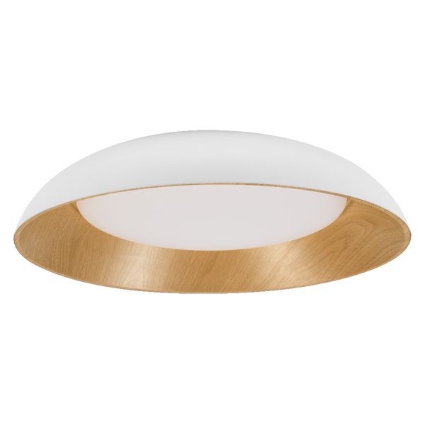 ORBIS ALVA 505 36W830 CLICKDIM WTWDOSRAM image 1