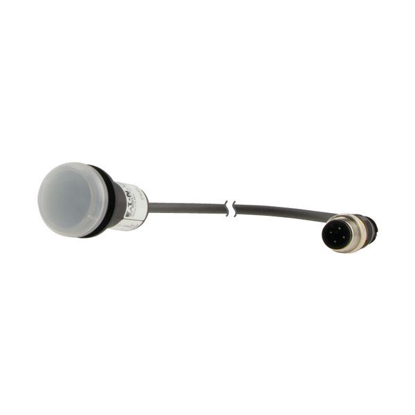 C22-L-W-24-P1 Indicator light, Flat, Cable (black) with M12A plug, 4 pole, 0.2 m, Lens white, LED white, 24 V AC/DC image 12