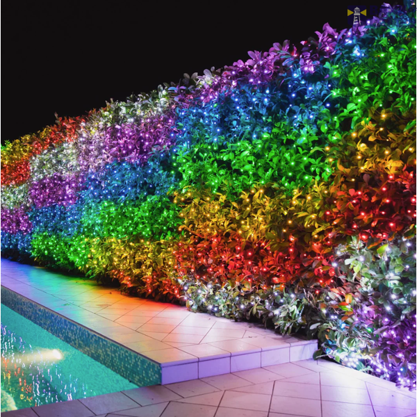 250L 5MM matt+clear flat RGBW lens light string, 8cm lamp spacing, transparent wire, BT+WiFi, Gen II, IP44, Plug F image 2