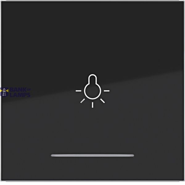 Rocker single with light symbol imprint, clear lens, A.x/C.x black glass. image 1