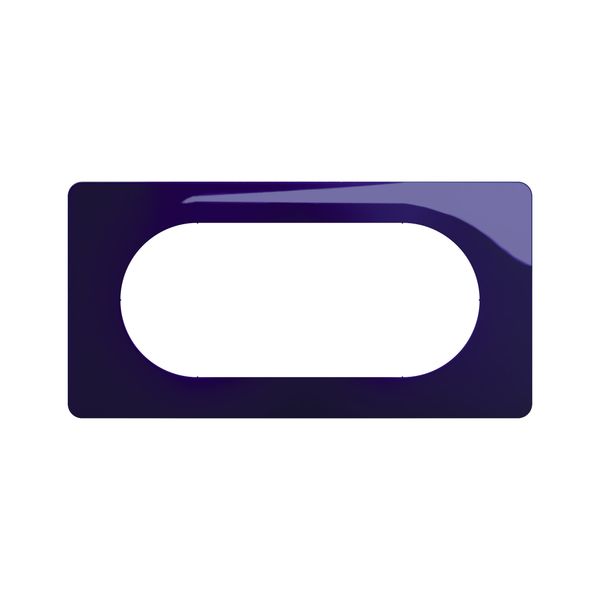 PLATE 2G LARGE BLEU DE FOUR image 4