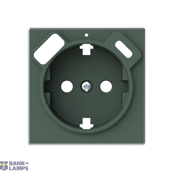 Cover Schuko + USB A+C image 1