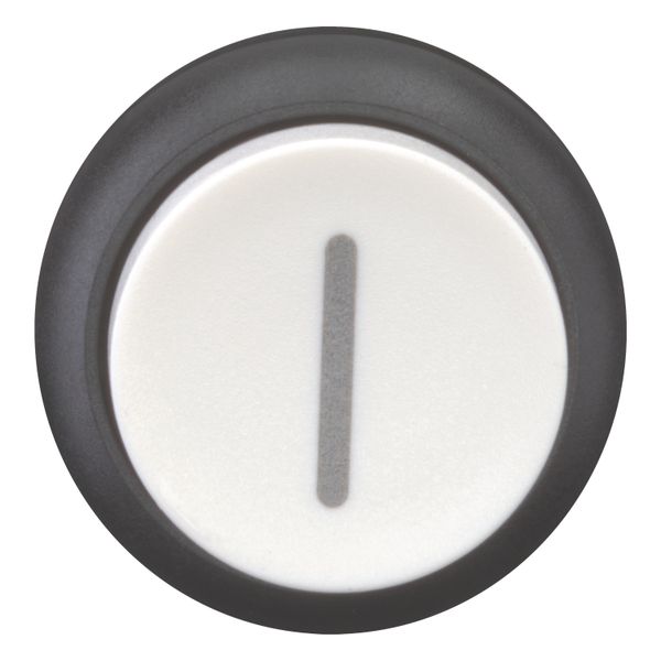 M22S-DH-W-X1 Pushbutton, RMQ-Titan, Extended, momentary, White, inscribed, Bezel: black image 11