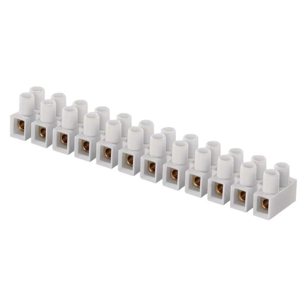 Terminal block 12×4,00 mm white image 1