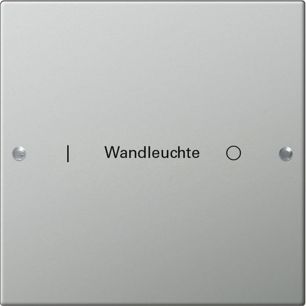 rocker set 1-g inscr. System 55 stainl.steel image 1