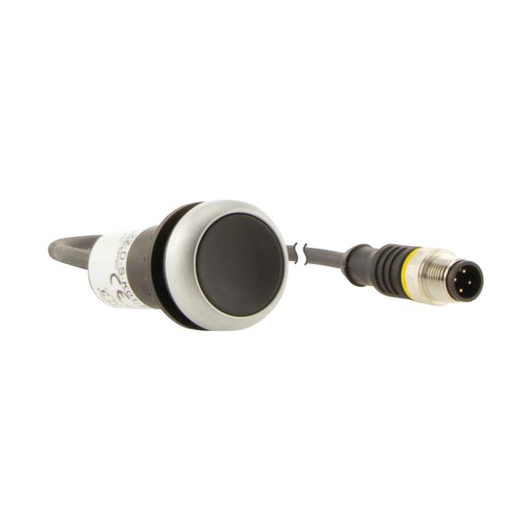 C22-D-S-K01-P5 Pushbutton, Flat, momentary, 1 NC, Cable (black) with M12A plug, 4 pole, 1 m, black, Blank, Bezel: titanium image 15
