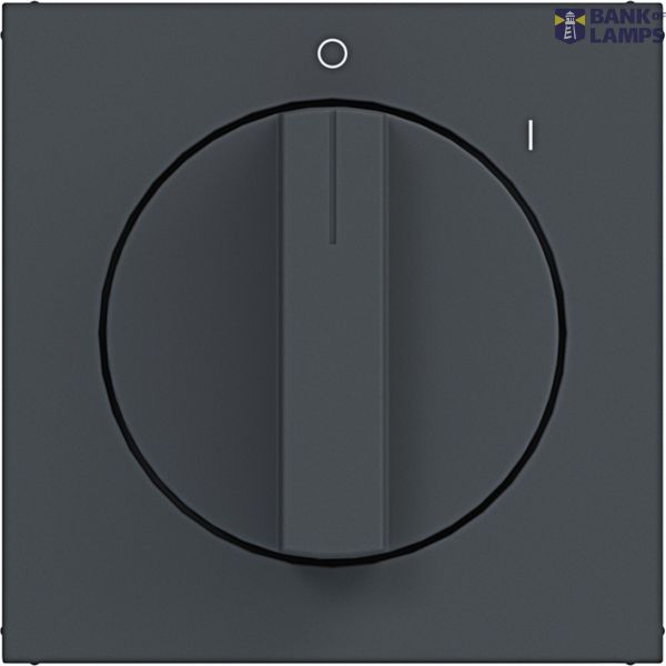 Rotary switch central plate, with markings 0-1, A.x/C.x anthracite image 1