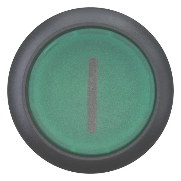 M22S-DL-G-X1 Illuminated pushbutton actuator, RMQ-Titan, Flush, momentary, green, inscribed, Bezel: black image 6