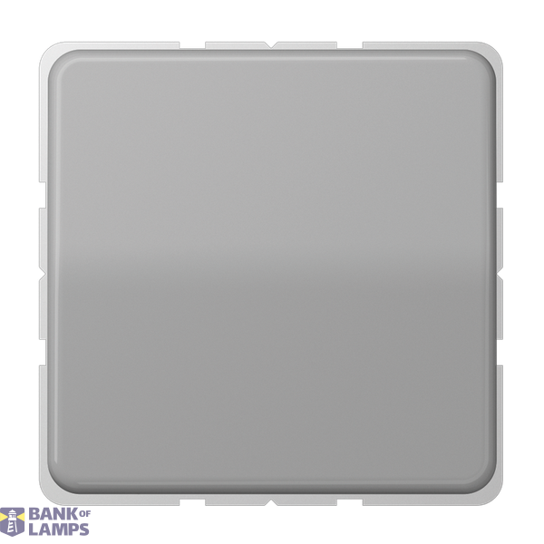 SCHUKO socket, 16 A 250 V ~, without claws, hinged cover, thermoplastic, CD series, grey image 1