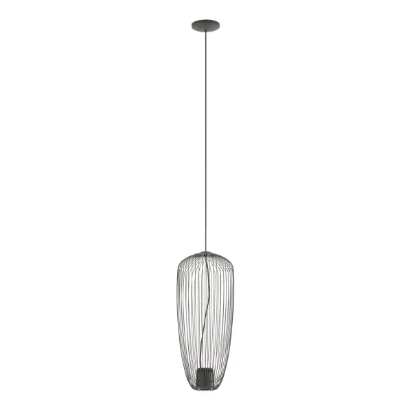 PUMPKIN S UMBRA GRAY image 1