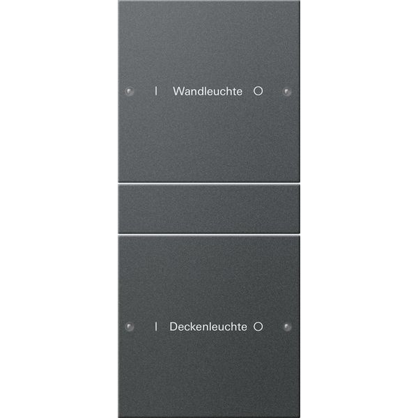 rocker set 2-g (1+1) inscr. System 55 anthra.(lac.) image 1