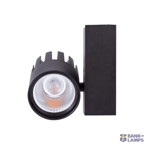 LEDSpot3C-P 30W-3000-40D-BL image 2