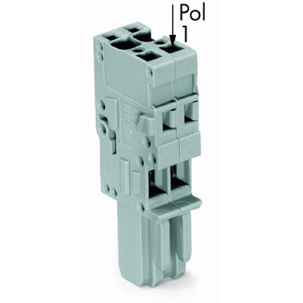 1-conductor female connector CAGE CLAMP® 4 mm² blue image 2