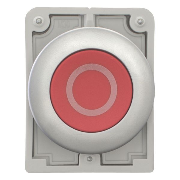 M30C-FD-R-X0 Pushbutton, RMQ-Titan, Flat, momentary, red, inscribed, Metal bezel image 12