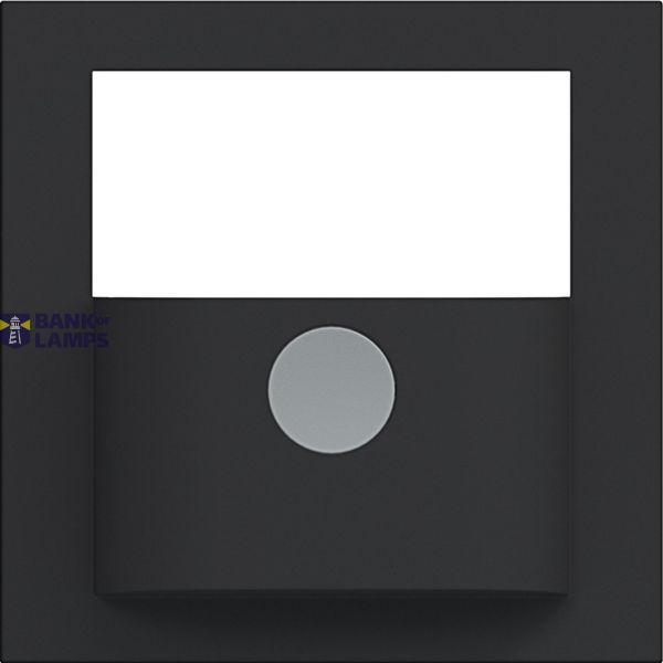 Cover with button for motion detector, A.x/C.x night black matte image 1