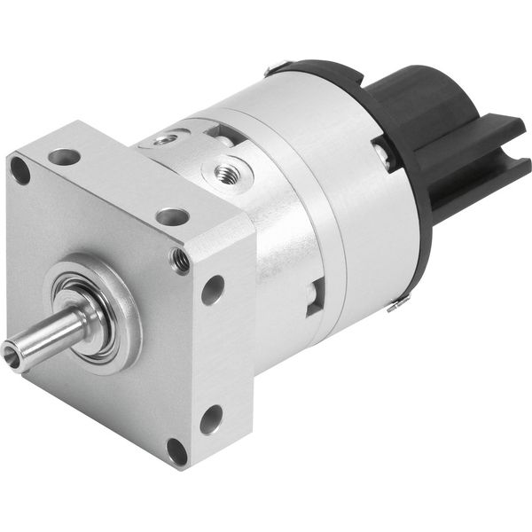 DSM-8-180-P-A-FF Rotary actuator image 1
