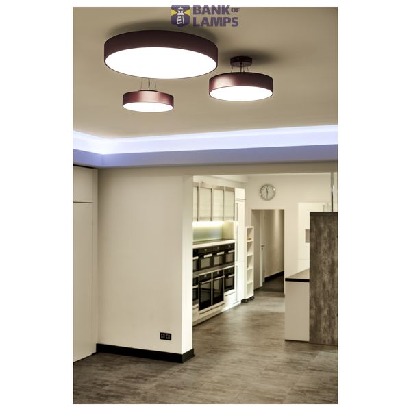 suspension set for 1-10V MEDO LED, 5-core, ruby image 2