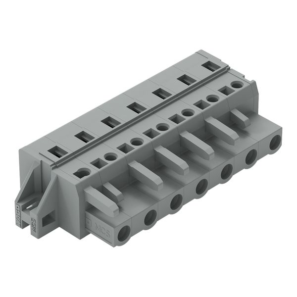 1-conductor female connector CAGE CLAMP® 2.5 mm² gray image 1