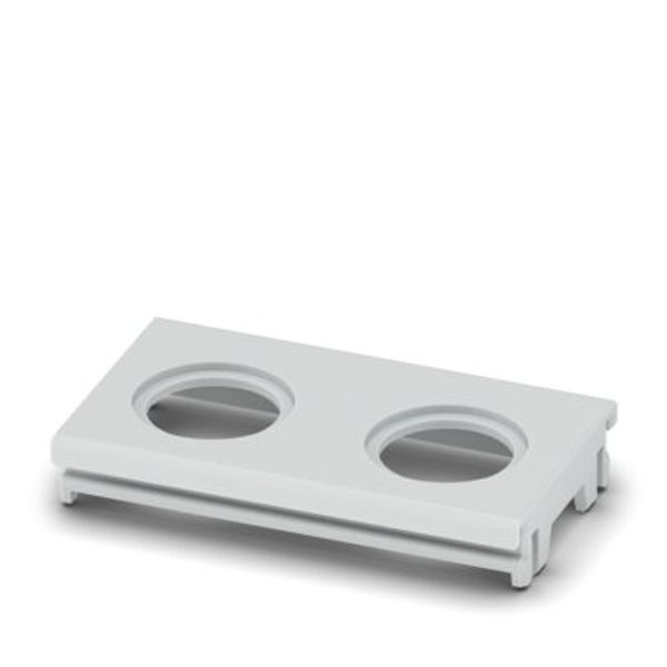 ICS25-F45-2M12-7035 - Connection plate image 1