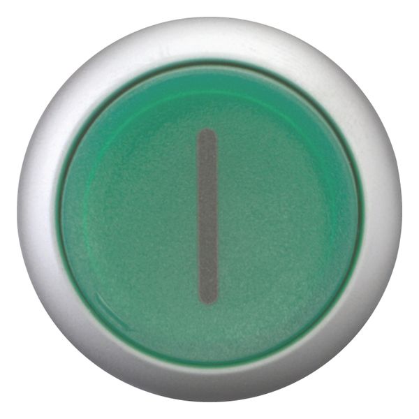 M22-DRLH-G-X1 Illuminated pushbutton actuator, RMQ-Titan, Extended, maintained, green, inscribed, Bezel: titanium image 11
