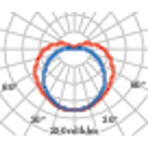 CHIP OVAL 30 LED 830 BLACK 11.5W image 6