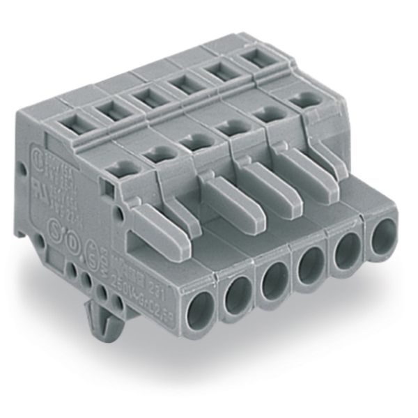 1-conductor female connector CAGE CLAMP® 2.5 mm² gray image 4