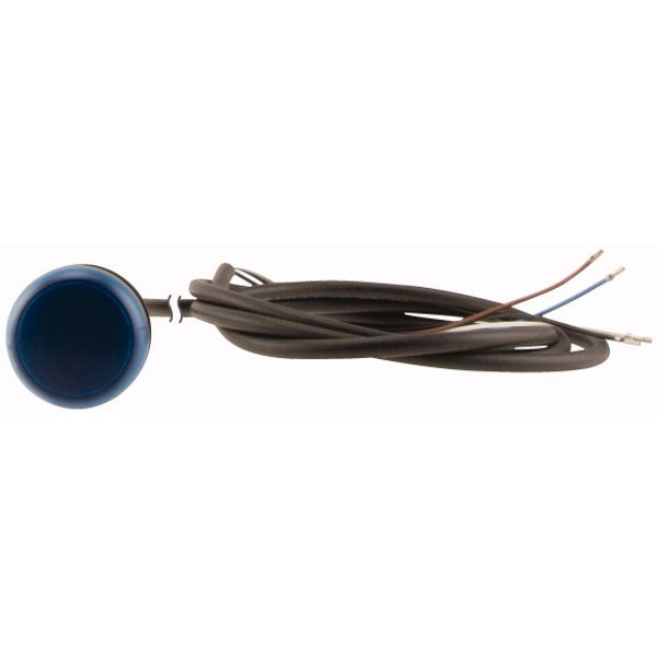 C22-L-B-24-P65 Indicator light, Flat, Cable (black) with non-terminated end, 4 pole, 3.5 m, Lens Blue, LED Blue, 24 V AC/DC image 2