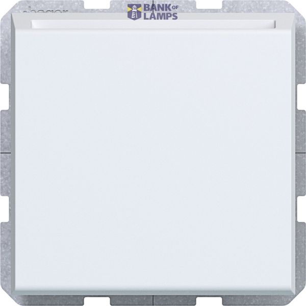 Electronic switch for hotel card, A.x/C.x, matte light white image 1