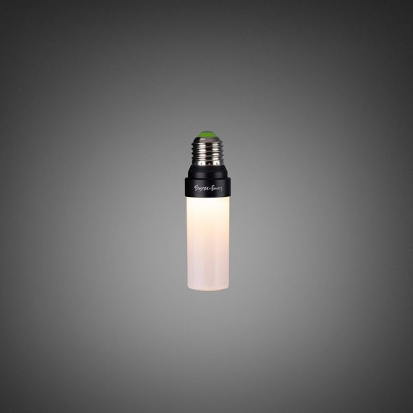 PUNCH BULB / FORKED / OPAL image 1