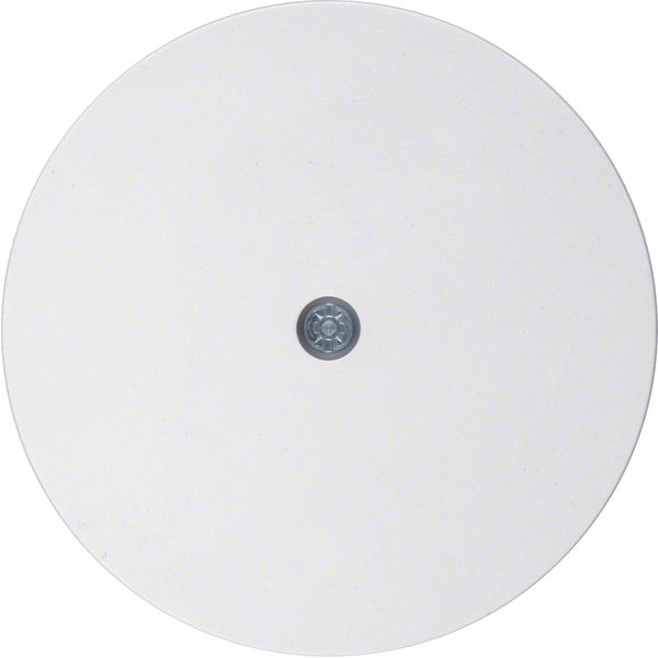 Centre plate for cable out., R.1/R.3/R.classic, p. white glossy image 1